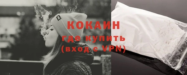 гидра Липки
