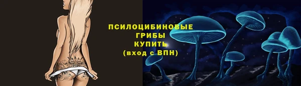 гидра Липки