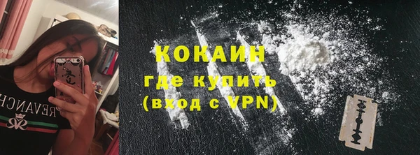 гидра Липки