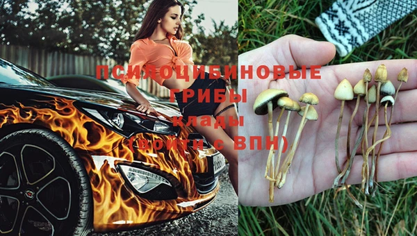 ПСИЛОЦИБИНОВЫЕ ГРИБЫ Лиски