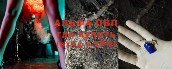 дмт Переславль-Залесский