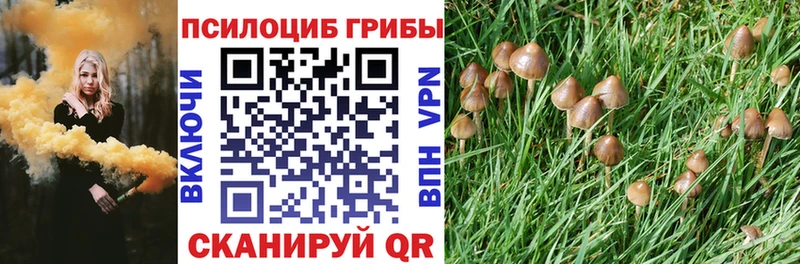купить закладку  Дятьково  Галлюциногенные грибы мухоморы 