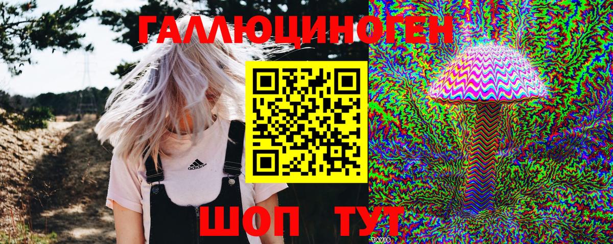 Псилоцибиновые грибы Psilocybe Дятьково