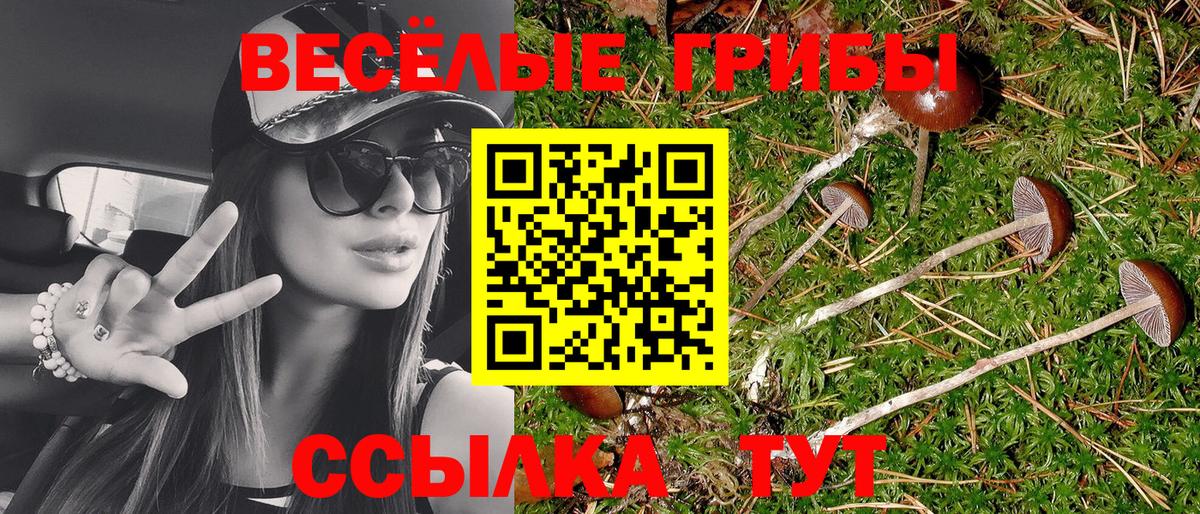 Псилоцибиновые грибы Cubensis  Псилоцибиновые грибы Psilocybine cubensis  Дятьково 