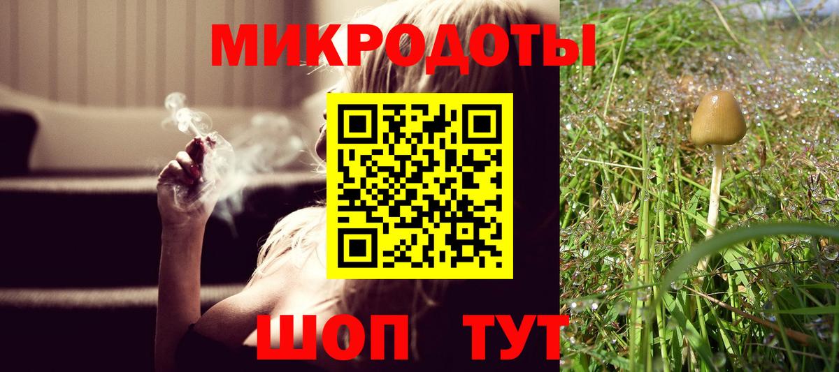 Дятьково  Псилоцибиновые грибы Cubensis  Вход с VPN 